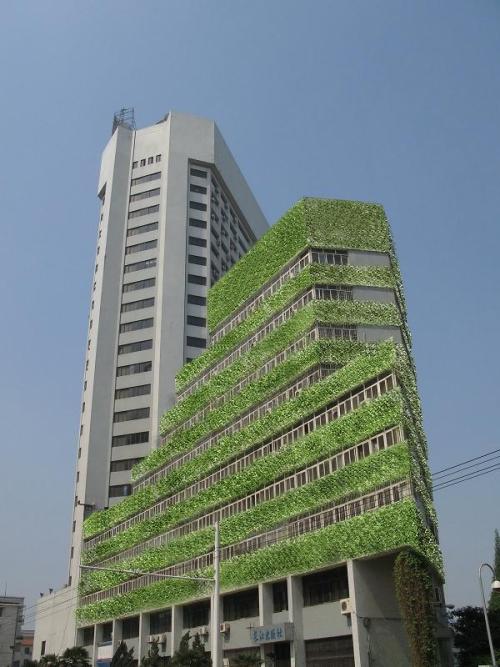 長(zhǎng)江水利委員會(huì)-水箱清洗